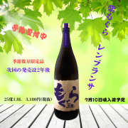 見出しを追加 (1)