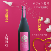 小見出しを追加 (2)