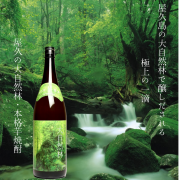 『屋久島 大自然林 芋』屋久島伝承蔵 25度1.8L 3,024円(税抜) 屋久島産手造り甕壷仕込み芋焼酎(販売店限定) 創業以来の手造り甕壷仕込みで、麹室（こうじむろ）による麹造り、甕での発酵、昔ながらの木製の道具を使った伝統的製法を今に伝える手造り甕仕込みの蔵「屋久島伝承蔵」。 本格焼酎「 屋久島 大自然林 芋 (1)