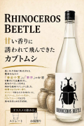 カブトムシ
